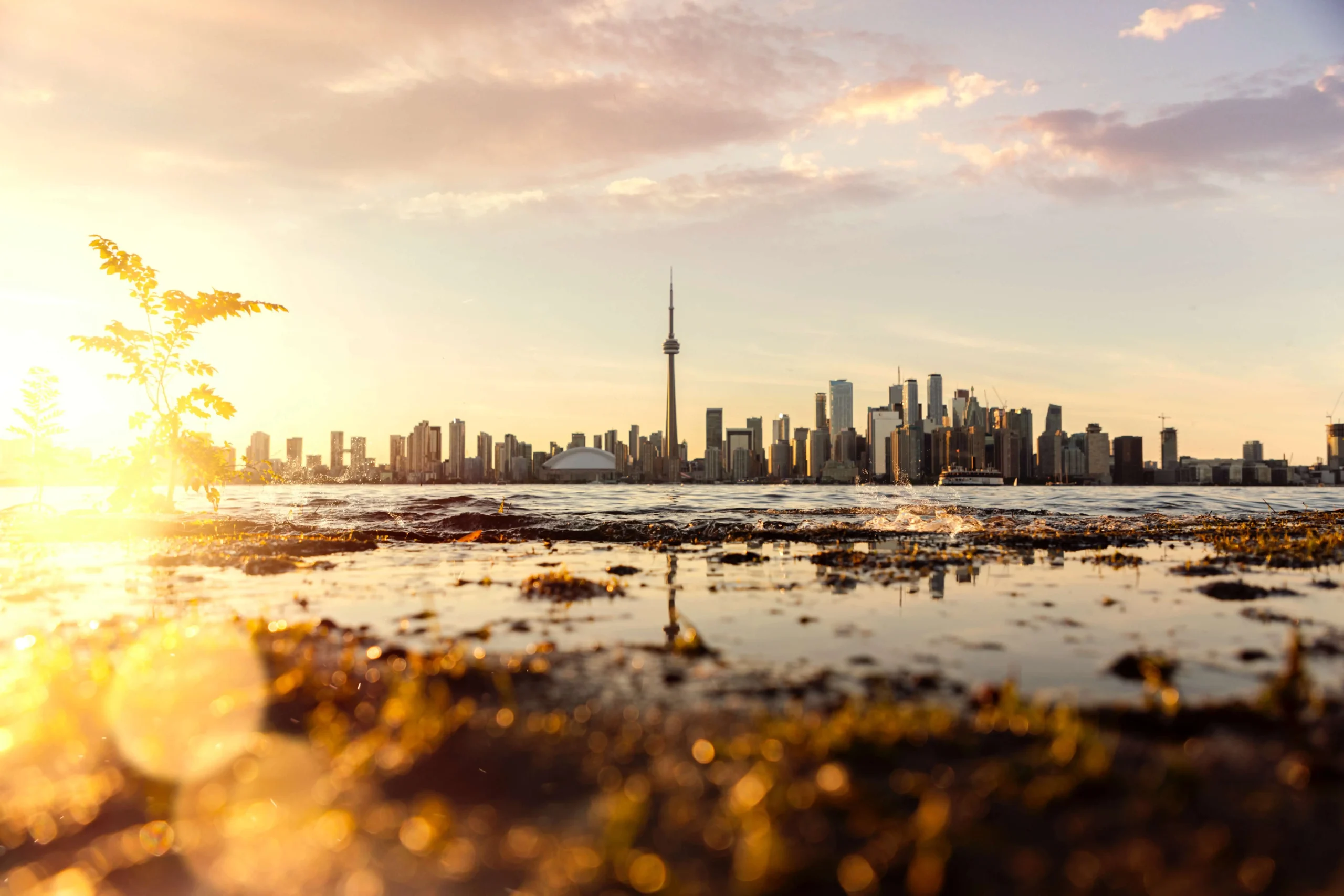 app developer ontario