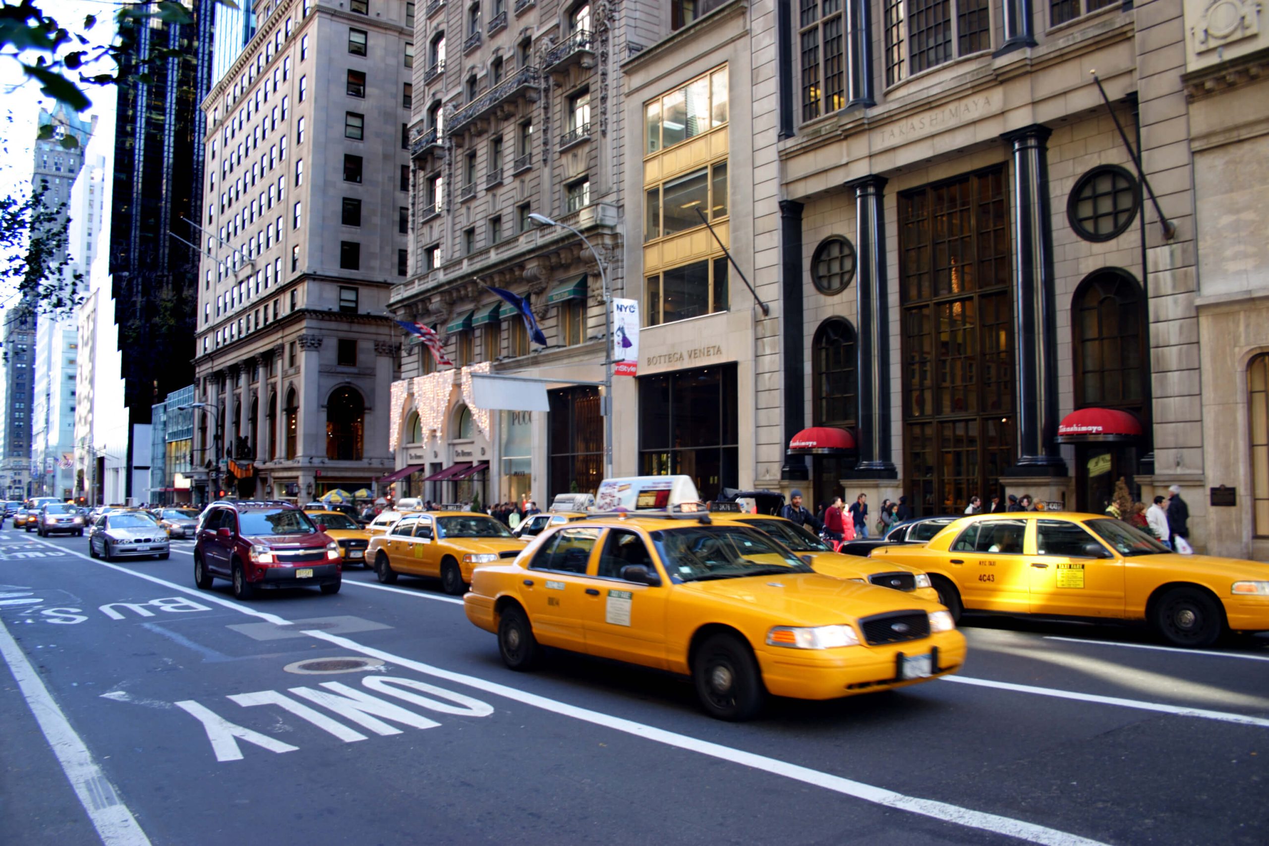 custom software new york 1