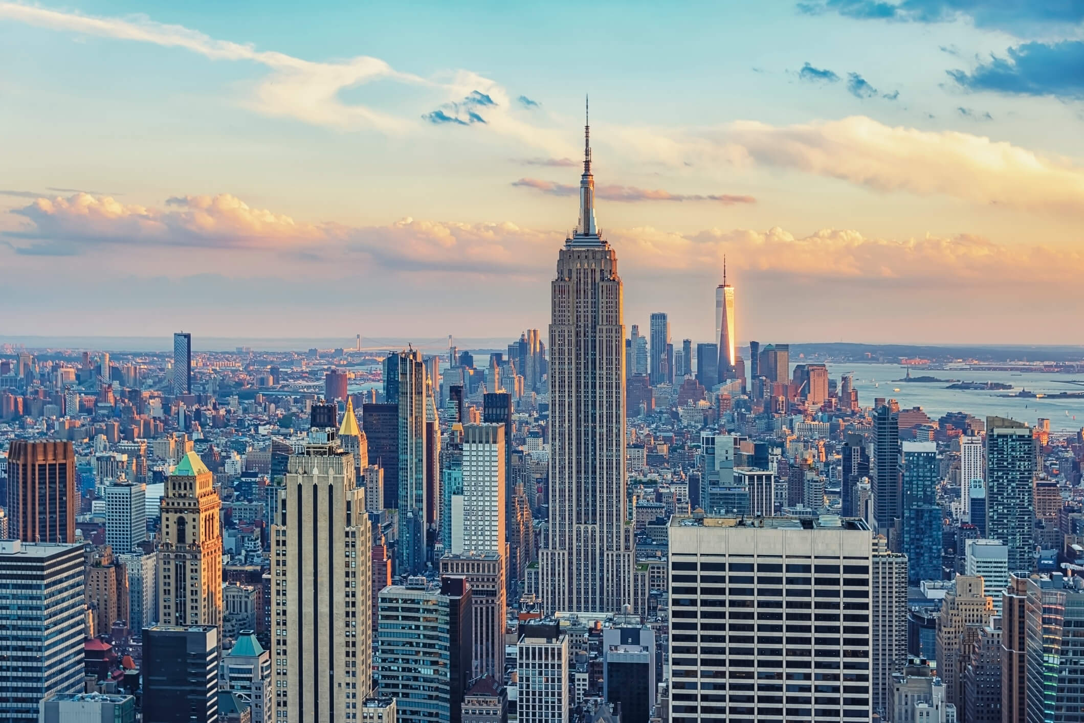 software developer new york