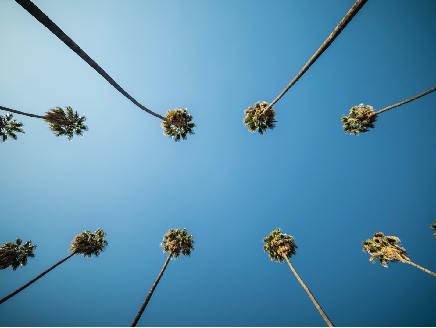 app developers los angeles